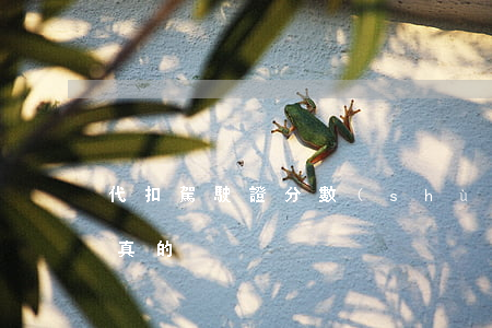 “代扣駕駛證分數(shù)”會被拘留？是真的！